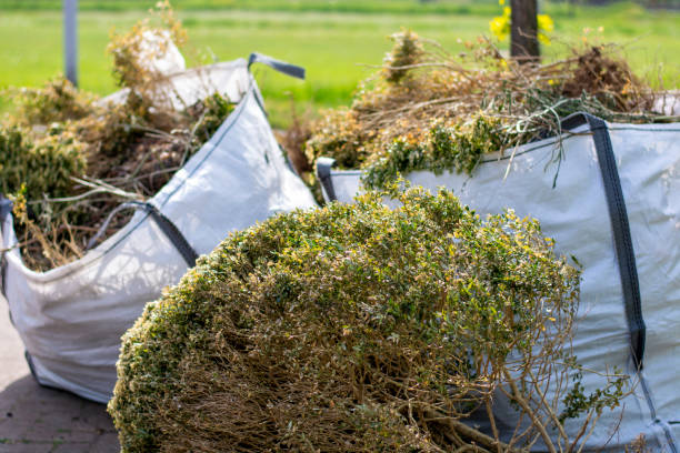 Best Household Junk Removal  in Waterloo, IA